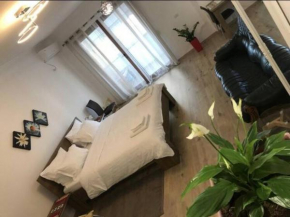 Studio apartment 4 - PAZARIiRI